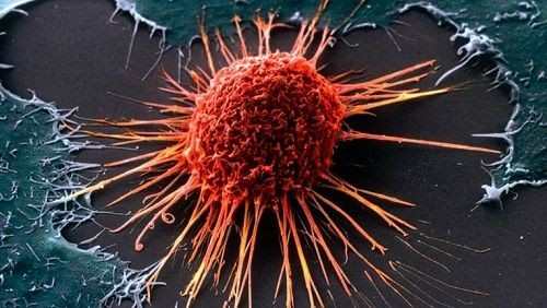 China legt beperkingen op bij onderzoek naar  de oorsprong van Coronavirus