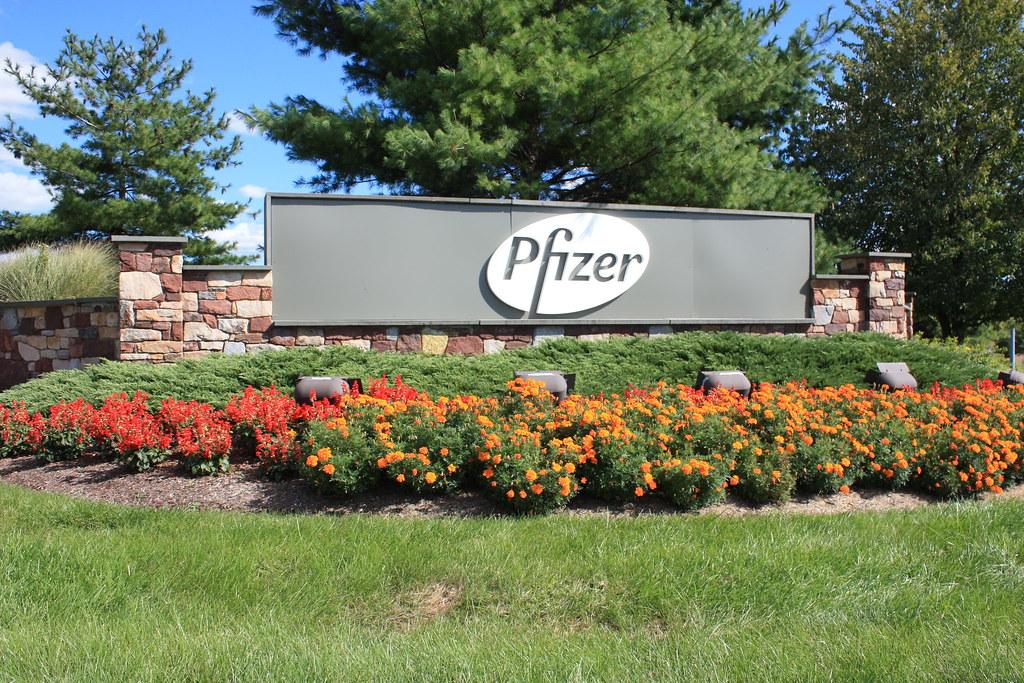 Pfizer646