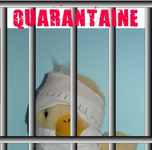 quarantaine