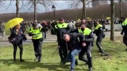 wappierammen