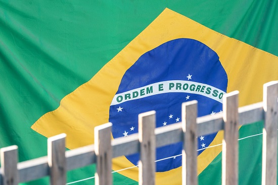 brasil534534