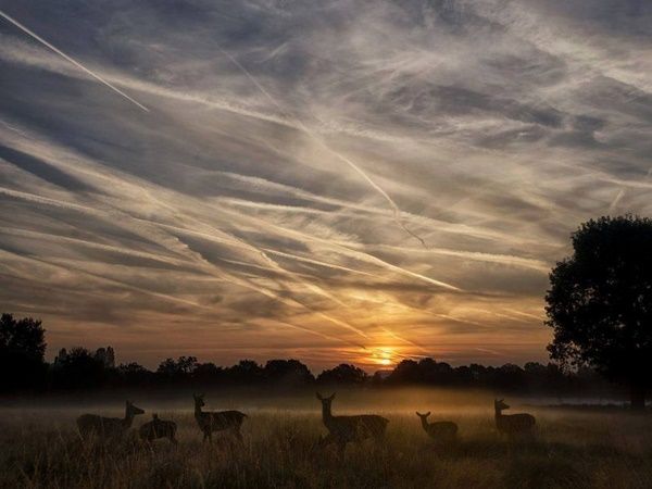chemtrails080