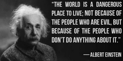 albert_n.jpg