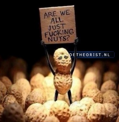 nuts.jpg